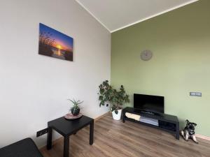 a living room with a dog sitting in front of a tv at SunCoast terrace apartment in Saulkrasti