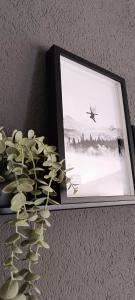 a picture of a bird flying over a field with a plant at Altrove Leukerbad - Modern, Spacious & Central in Leukerbad