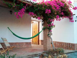 Zahrada ubytování Cortijo Las Caballerias