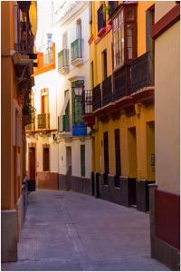 塞维利亚金橙花旅馆的城市里一条拥有多彩建筑的小巷