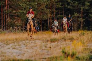 a group of people riding horses in a field at Myskje Gård in Myssje