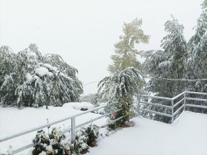 Fotografie z fotogalerie ubytování Snow Peaks View Homestay v destinaci Gondla
