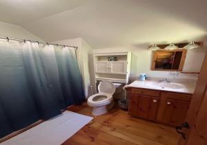 een badkamer met een toilet, een wastafel en een douche bij Delaware River Poconos Riverfront Masthope in Masthope +16 foto's