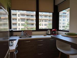 a kitchen with a sink and two windows at Studio near Copou Hospitals IRO Parhon in Iaşi +55 photos