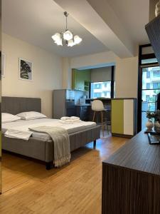 a bedroom with a bed and a desk in it at Studio near Copou Hospitals IRO Parhon in Iaşi