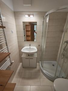 un bagno con lavandino e doccia di Elizabeth 2 a Kecskemét
