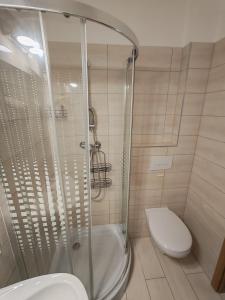 un bagno con doccia, WC e lavandino di Elizabeth 2 a Kecskemét