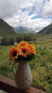 Gallery image of Ushguli Terrace in Ushguli