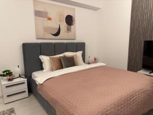 une chambre avec un grand lit et une télévision dans l'établissement Sofia Residence - Otopeni Airport & Therme I Libertatii Gardens - free pool facilities, à Otopeni 13 autres photos