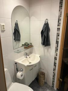 ein Badezimmer mit Waschbecken, Toilette und Spiegel in der Unterkunft Ruka Snow&Sun 3 - 2 ski tickets included in Kuusamo