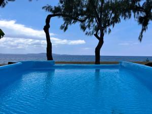a swimming pool with a view of the ocean at Rockpools - 5 Bedroom Oceanfront Villa in Hideaway Island