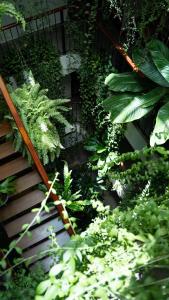 eine Treppe in einem Garten mit Pflanzen in der Unterkunft Nicobar Con Dao Hotel in Con Dao