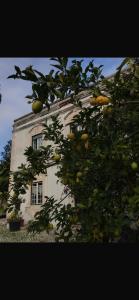 Το κτήριο όπου στεγάζεται  ο ξενώνας