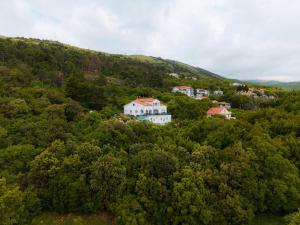 an aerial view of a village in the middle of a forest at Villa Paradiso in Plomin - Istrien in Plomin