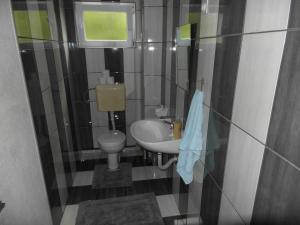 Kúpeľňa v ubytovaní Apartment Tina Gračac + 22 fotografií