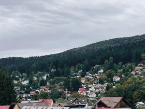 a small town in the middle of a mountain at Suru Hotel & Restaurant in Buşteni