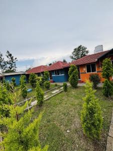 a garden in front of a house with trees at Coorg Sunrise Cottage Homestay in Kushālnagar