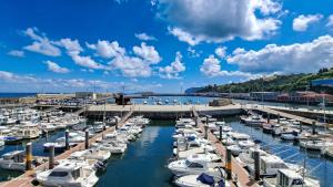 a bunch of boats docked in a harbor at Apto Izaro -Parking Gratis, Reformado- Gaztelugatxe y Gastronomía -Familias y Pareja in Bermeo