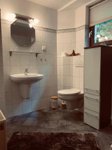 een badkamer met een wastafel en een toilet bij Waldzauber am See in Clausthal-Zellerfeld