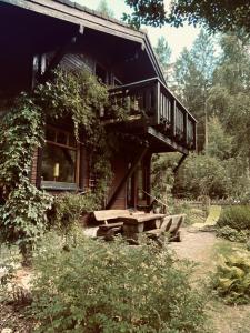 een huis met een terras en een picknicktafel ervoor bij Waldzauber am See in Clausthal-Zellerfeld +19 foto's