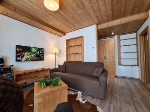 a living room with a couch and a tv at Apartment ALFA with jacuzzi in Demanovska Dolina +42 photos