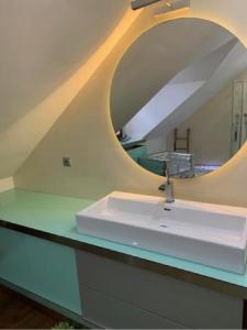 a bathroom with a sink and a mirror at Rodinný dům Praha 8, Kobylisy in Prague