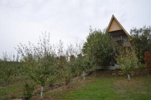 a row of apple trees in front of a barn at Negovanovic vikendica in Koceljeva