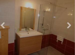 a bathroom with a sink and a shower with a mirror at Cosy Suite chalet in Valloire +13 photos