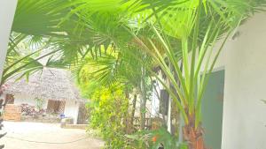 a group of palm trees in front of a building at The Gale House in Umbuji