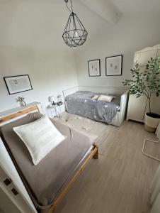 een slaapkamer met een bed en een potplant bij Villa Horizon in Lacanau