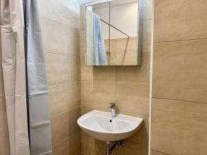 a bathroom with a sink and a mirror at 2-Bedroom Stylish Apartment with Free Parking in Vienna