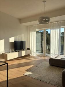 een woonkamer met een bank en een televisie bij Apartmán Beatrice B308 in Veselé +5 foto's