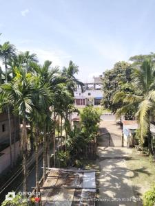 Blick auf eine Straße mit Palmen in der Unterkunft Good luck homestay 