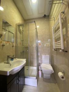 a bathroom with a shower and a sink and a toilet at Amida&NurayHouseHotel in Istanbul