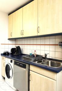 a kitchen with a sink and a washing machine at Gemütliche Ferienwohnung mit großer Dachterasse in Offenburg +13 photos
