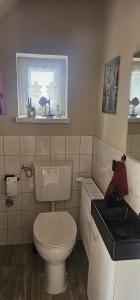 フェルトベルクにあるFerienhaus Kiaraの白いトイレと洗面台のあるバスルーム