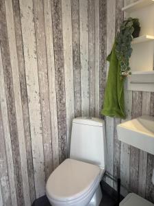 a bathroom with a white toilet and a wall at Seehaus Ramona in Matfors