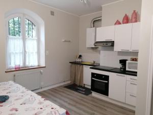 a kitchen with white cabinets and a stove top oven at Le Château d'Ognies in Dohis