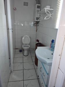 a small bathroom with a toilet and a sink at Valley Cottage in Kenton on Sea +10 photos