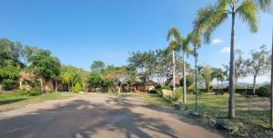 an empty road with palm trees and houses at Rimpuhill resort in Sattahip