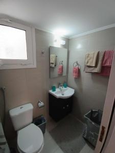 a bathroom with a white toilet and a sink at ΑPARTMENTS IN THE CENTRE in Loutraki +21 photos