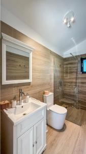 ein Badezimmer mit Waschbecken, Toilette und Dusche in der Unterkunft A-Frame Villas in Buşteni + 33 Fotos