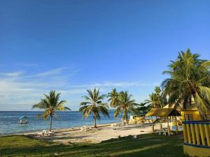 Příroda nedaleko hotelu