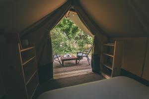 HolaCamp Vall Natura في Sant Miquel de Campmajor: اطلالة غرفة مع نافذة وطاولة +97 صورة