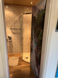 een badkamer met een douche en een schilderij aan de muur bij Hotel Albergo Trattoria Don Lillo Fewo in Idstein +10 foto's