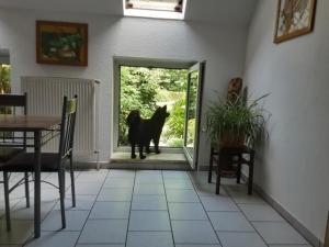 a black dog is looking out of a door at FEWO Laubwald in Sögel