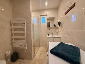 a bathroom with a shower and a toilet and a sink at Résidence des Fleurs in Cabourg +141 photos