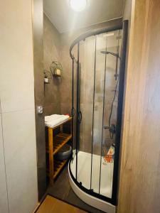 a shower in a small bathroom with a toilet at Luxury Apartments in Wrocław