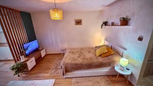 a bedroom with a bed and a television in it at BTY Studio Lakás in Miercurea-Ciuc