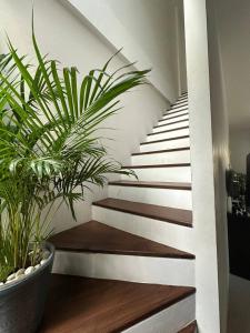 a staircase with wooden steps and plants in a room at Town House in Ban Ket Ho